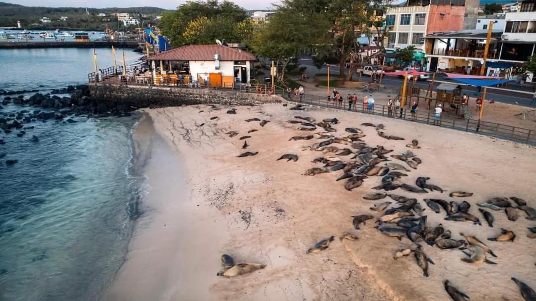 Royal Galapagos Inn 푸에르토 바케리조 모레노 외부 사진