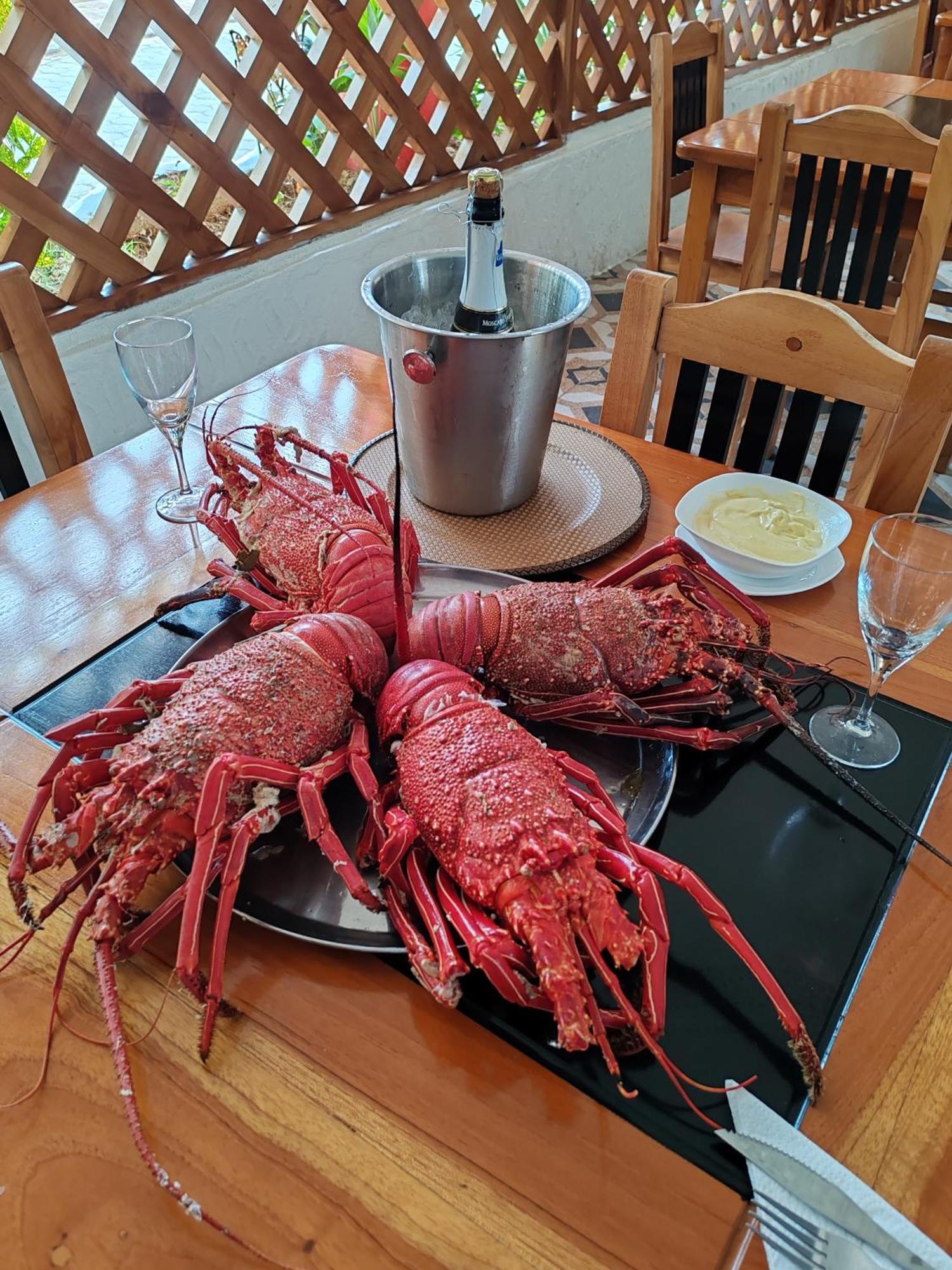 Royal Galapagos Inn 푸에르토 바케리조 모레노 외부 사진